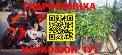 мдпв Ставрополь