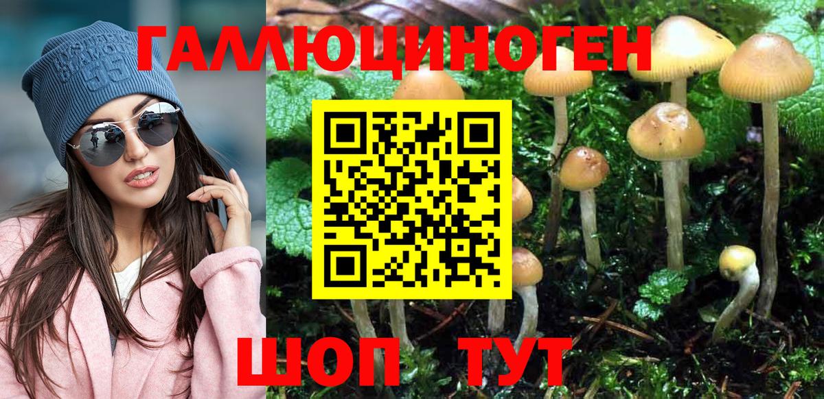 Псилоцибиновые грибы Psilocybine cubensis Нижнекамск