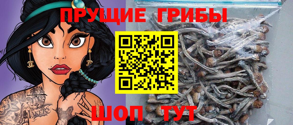 Нижнекамск  Галлюциногенные грибы ЛСД  Псилоцибиновые грибы мицелий  Вход с VPN 